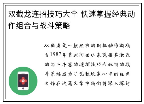 双截龙连招技巧大全 快速掌握经典动作组合与战斗策略